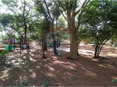 Land for sale in San Lorenzo, Barcequillo
