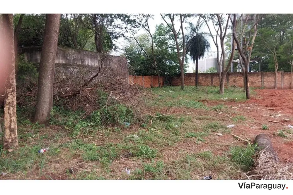 Terreno à venda em San Lorenzo, bairro Espírito Santo