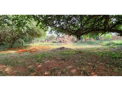 Terreno à venda em San Lorenzo, Central