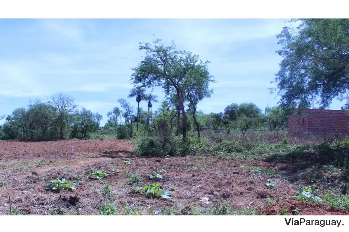 Terreno en venta en San Miguel, Caacupé