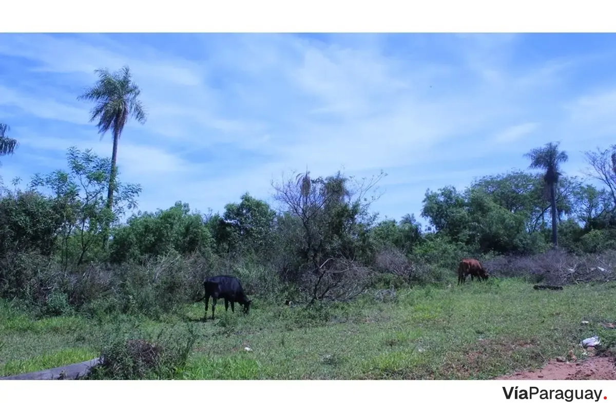 Terreno en venta en San Miguel, Caacupé