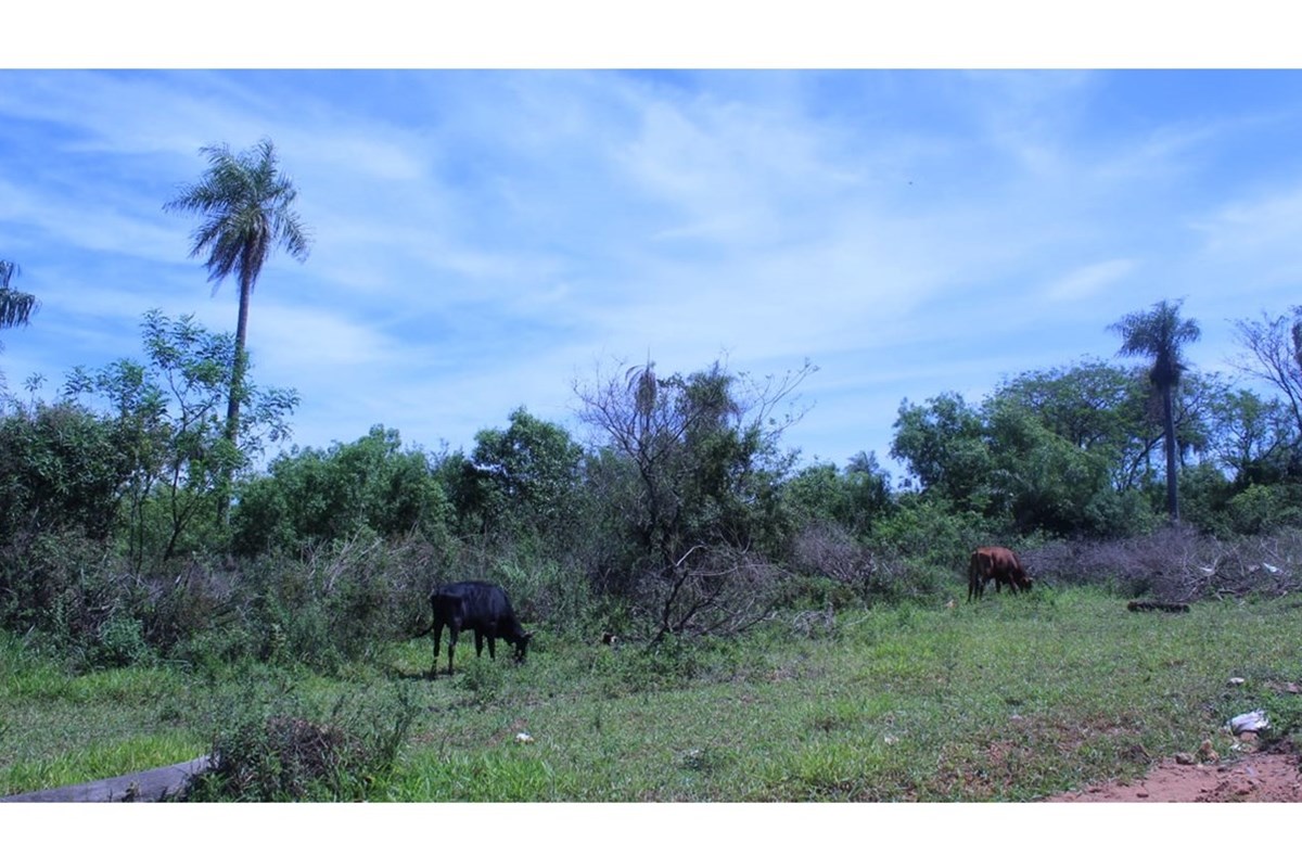 Terreno en venta en San Miguel, Caacupé