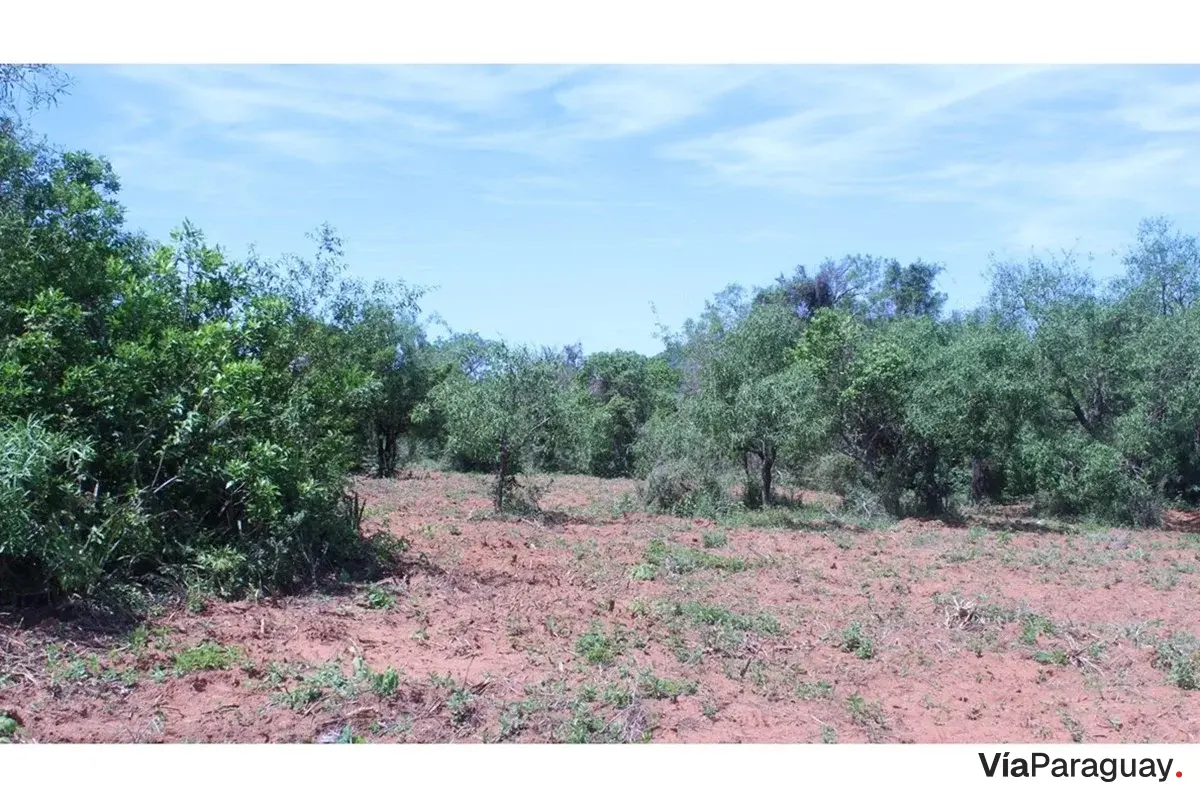 Terreno en venta en San Miguel, Caacupé - 360 m²