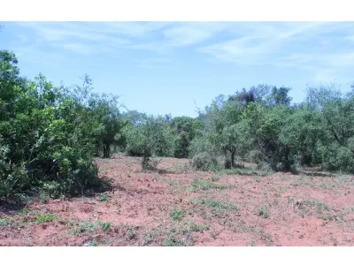 Terreno en venta en San Miguel, Caacupé - 360 m²