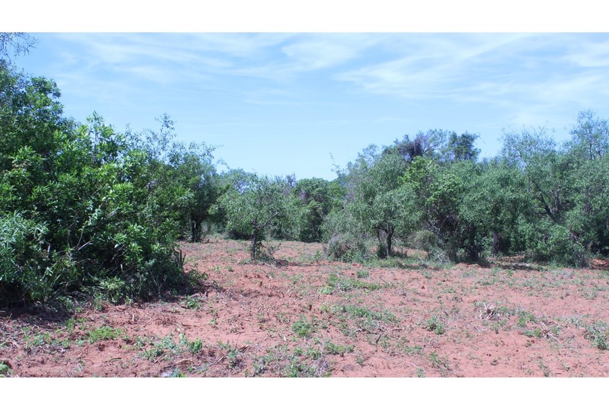 Terreno à venda em San Miguel, Caacupé - 360 m²