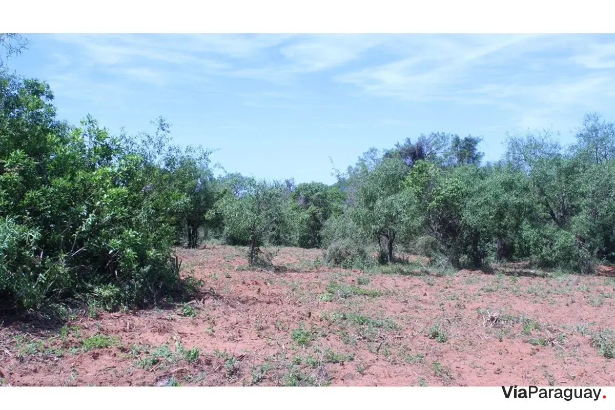 Terreno en venta en San Miguel, Caacupé, 360 m²