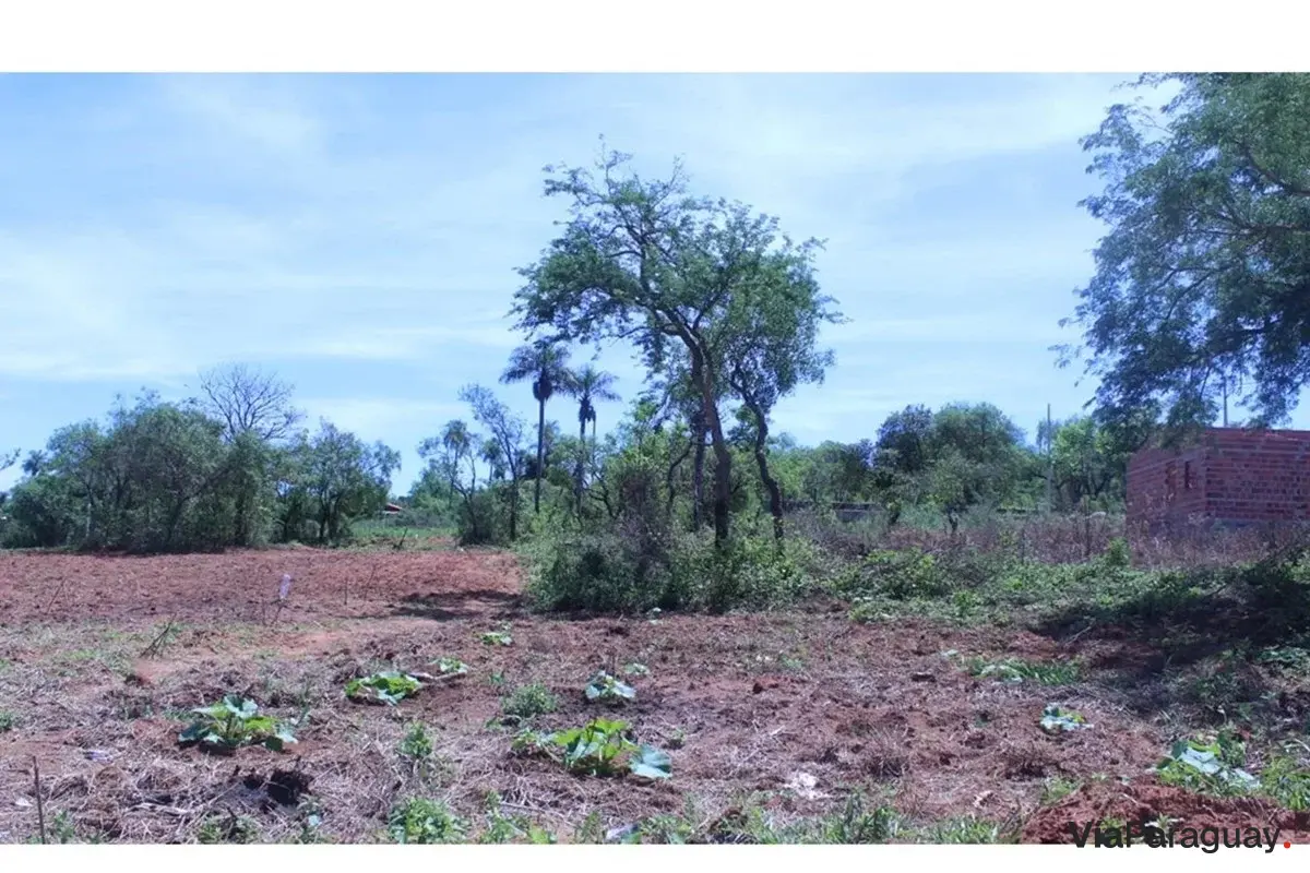 Terreno à venda em San Miguel, Caacupé