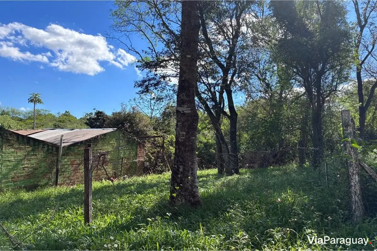 Land for sale in San Miguel, Cambyretá
