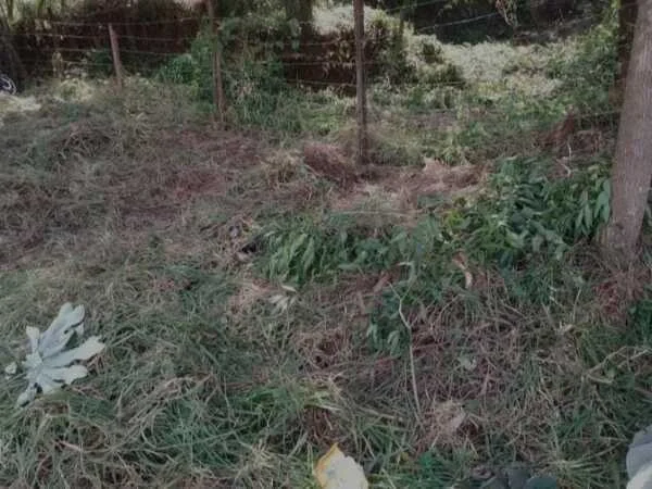 Land for Sale in San Miguel, Presidente Franco