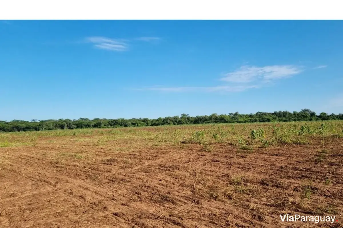 Land for sale in San Pedro, San Pedro