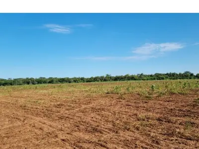Land for sale in San Pedro, San Pedro