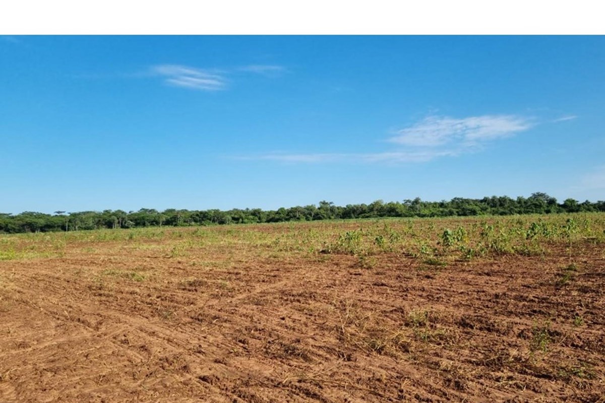 Land for sale in San Pedro, San Pedro