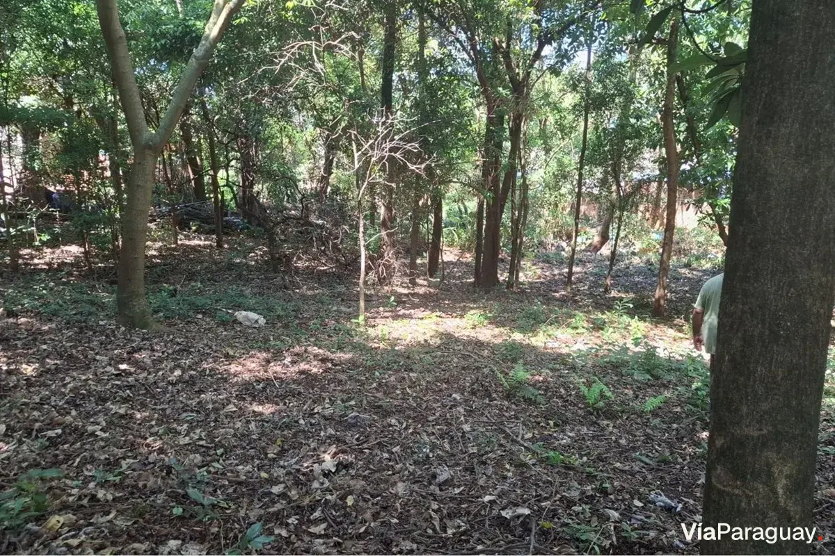 Terreno à venda em San Roque, Ciudad del Este
