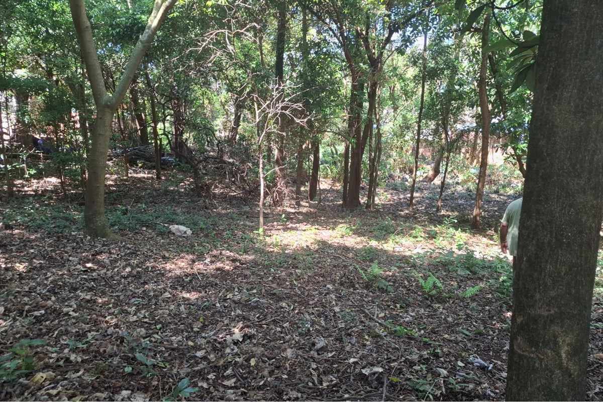 Land for sale in San Roque, Ciudad del Este