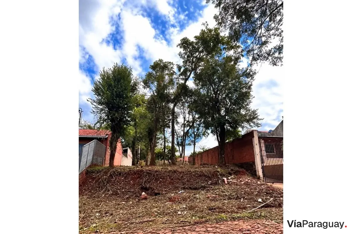 Terreno à venda em Santa María, Encarnação