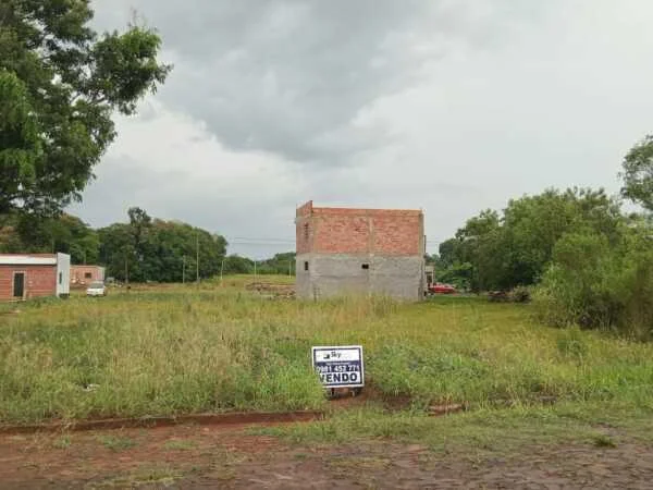 Land for Sale in Santa Rita, Alto Paraná
