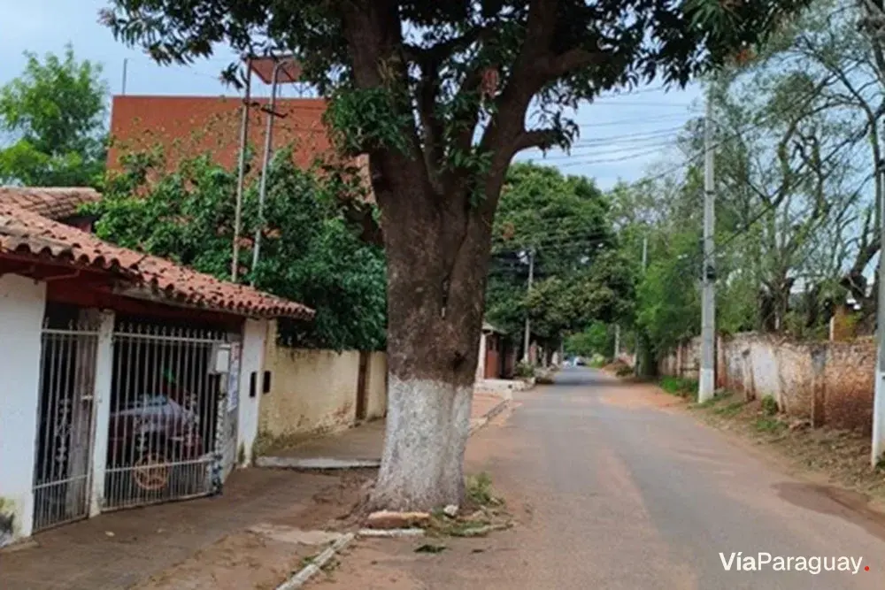 Terreno à venda em Santa Rosa I, Lambaré