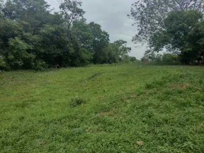 Land for Sale in Santiago, Misiones