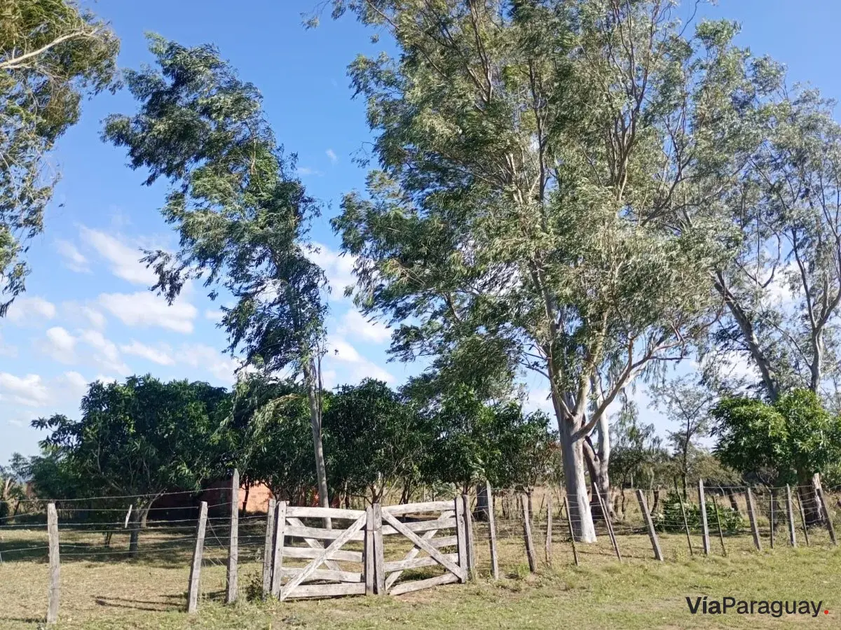 Terreno à venda em Santo Tomás (Mbatoví), Paraguarí
