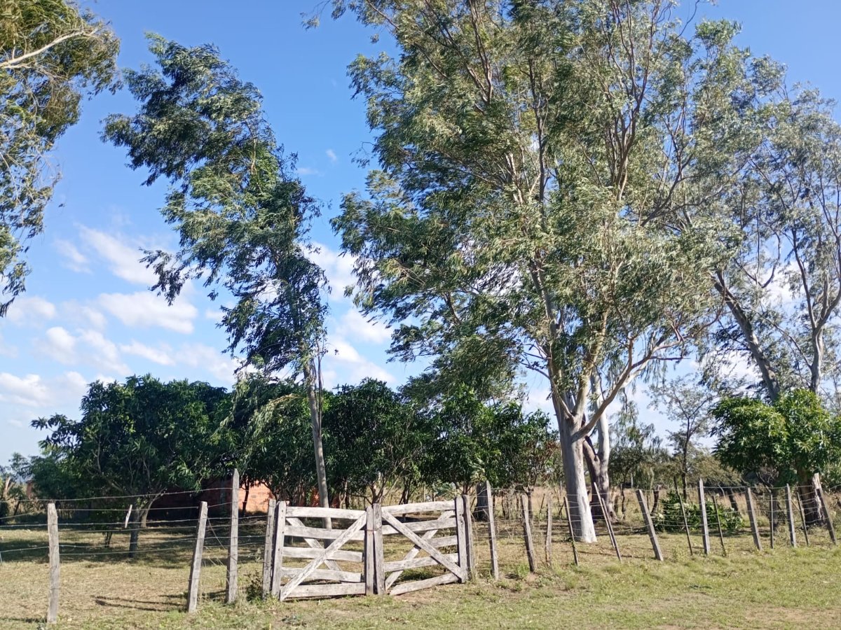 Terreno à venda em Santo Tomás (Mbatoví), Paraguarí