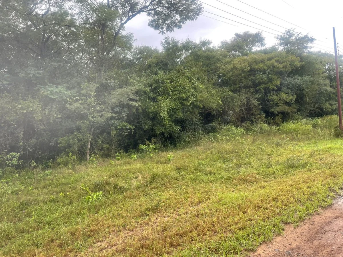 Terreno à venda em Surubi-Y, Mariano Roque Alonso