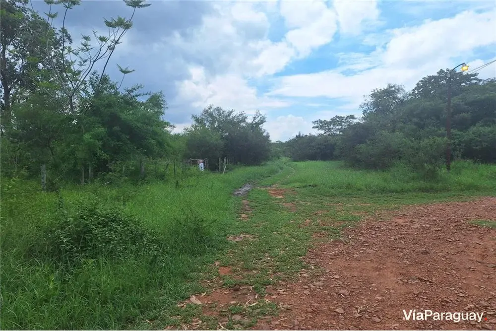 Terreno à venda em Surubi'i 2, Limpio