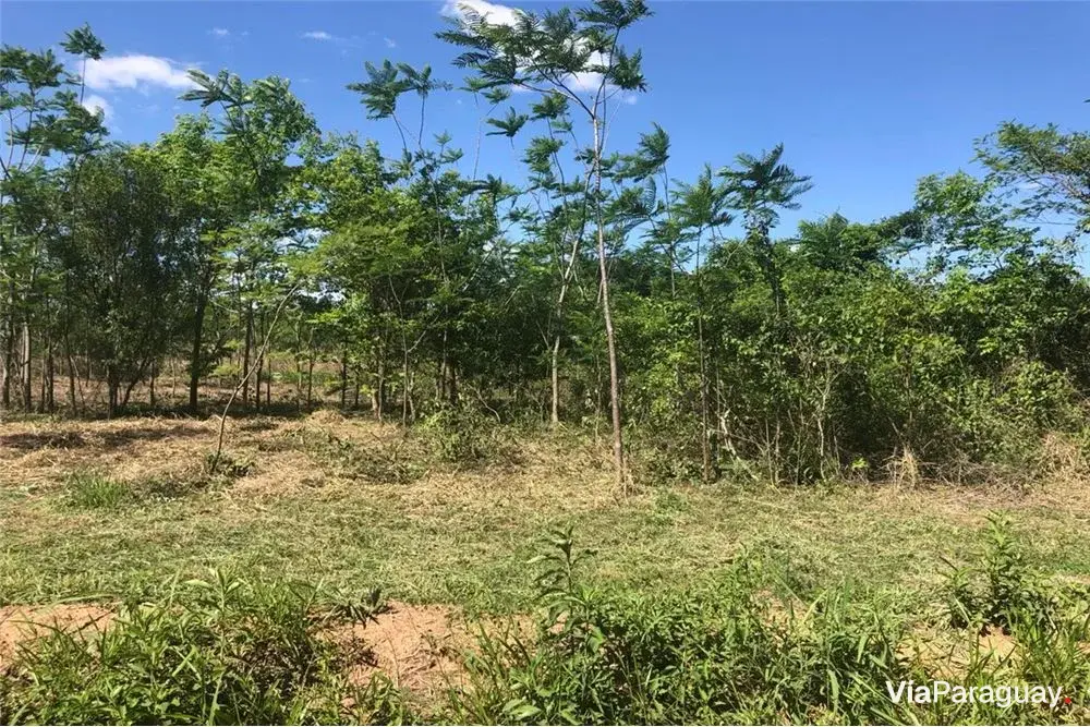 Terreno à venda em Surubii, Mariano Roque Alonso