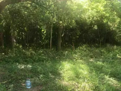 Land for Sale in Surubiʼi, Mariano Roque Alonso