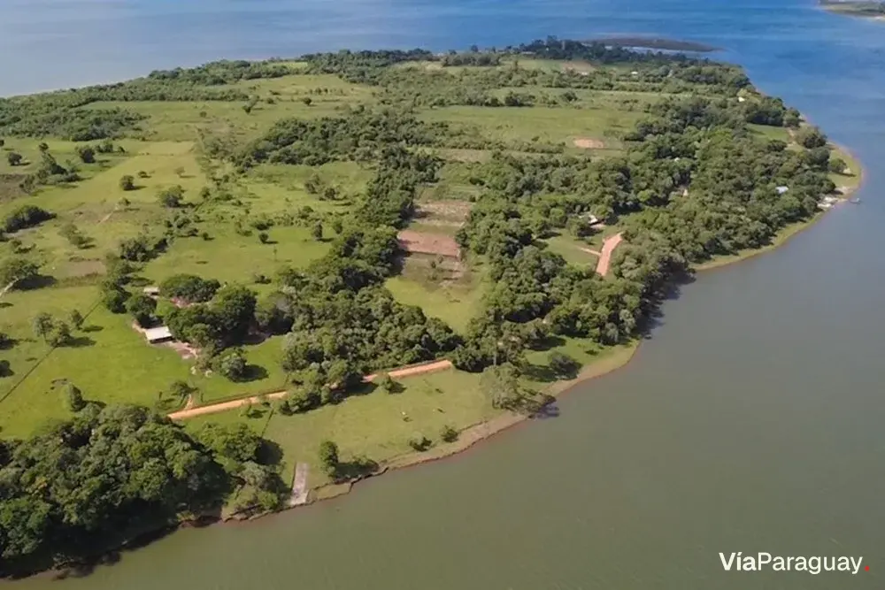 Land for sale in Tacuaro, Juan Emilio O'Leary, Alto Paraná