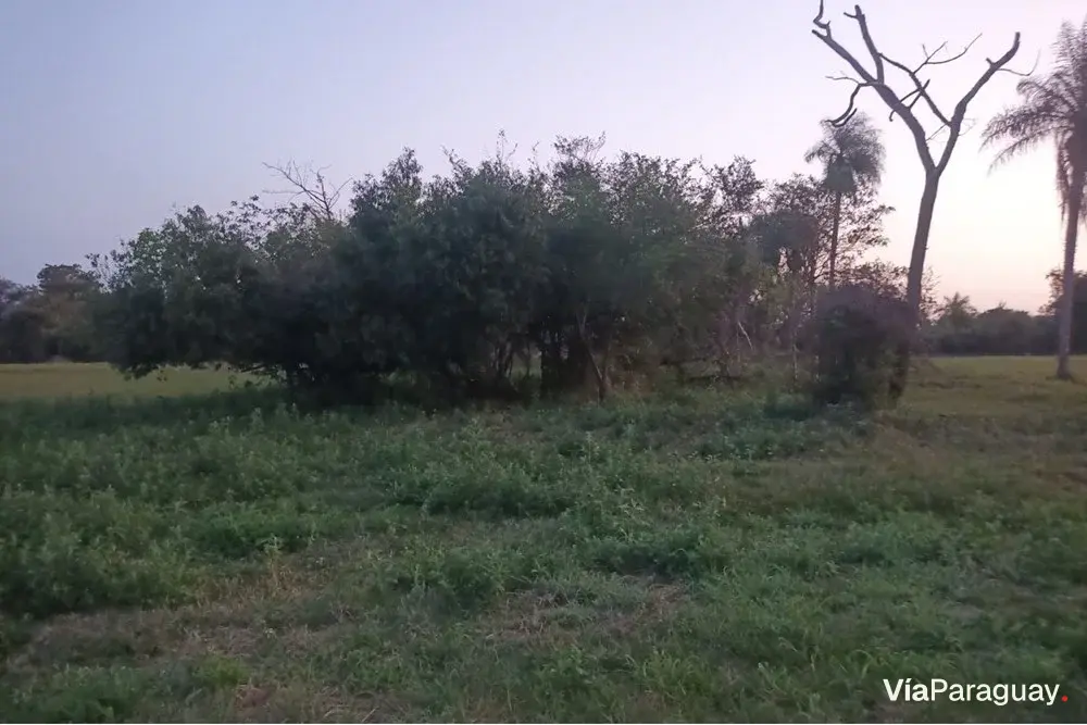 Terreno à venda em Takuruty, Villeta
