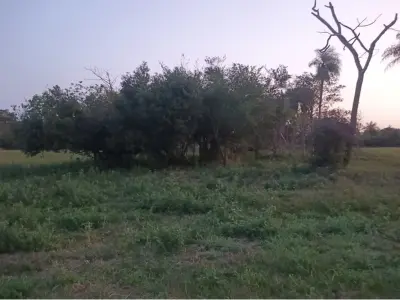 Terreno à venda em Takuruty, Villeta