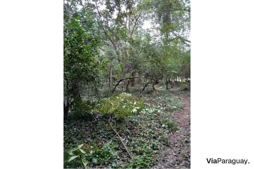 Terreno à venda em Tape Tujá, Itá, Central