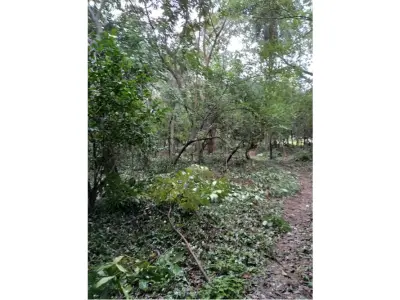 Terreno à venda em Tape Tujá, Itá, Central