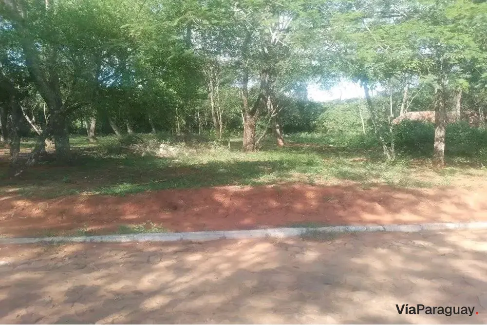 Terreno à venda em Tarumandy, Luque