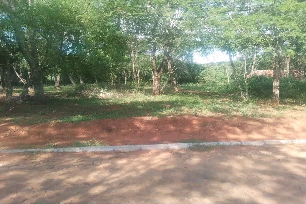 Terreno à venda em Tarumandy, Luque