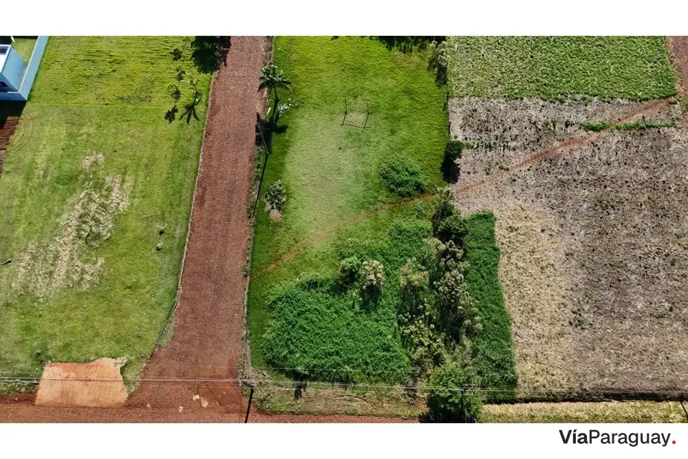 Land for sale in Tavapy, Alto Paraná