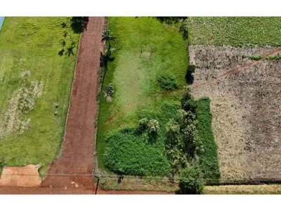 Land for sale in Tavapy, Alto Paraná