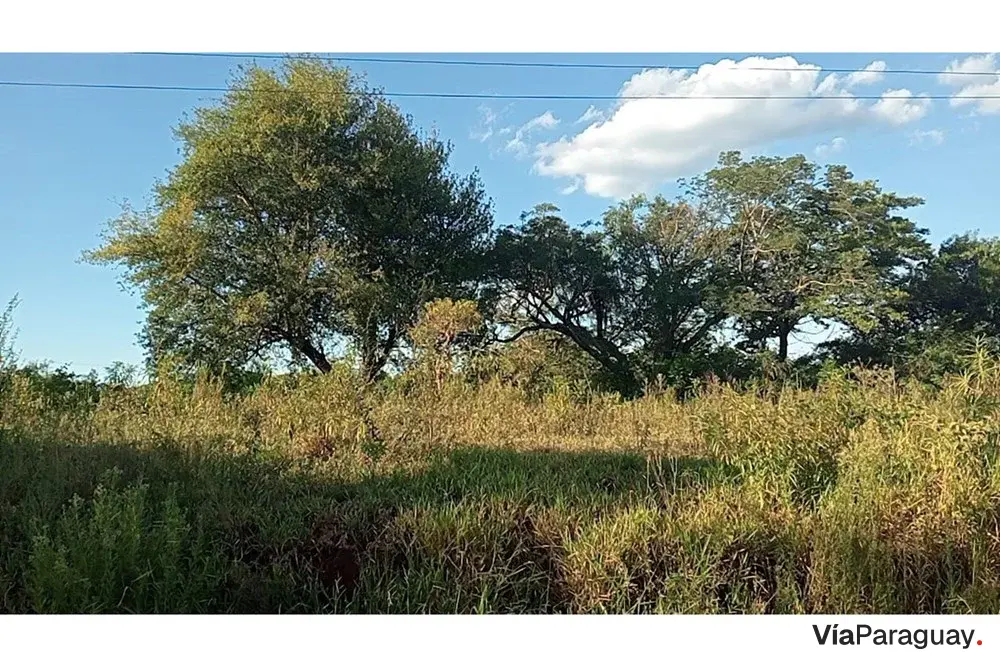 Terreno à venda em Toledo Cañada, Capiatá