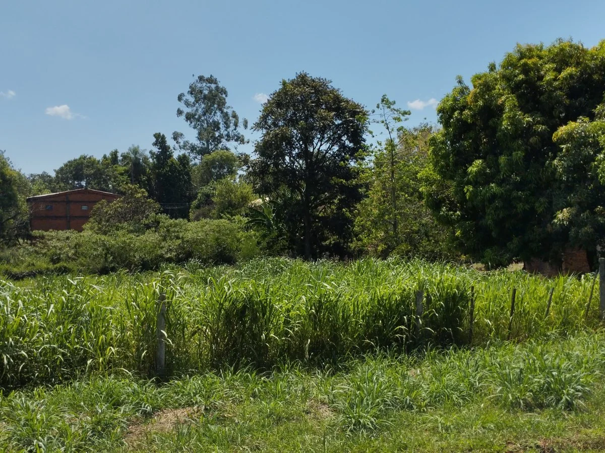 Terreno en venta en Trinidad, Itapúa