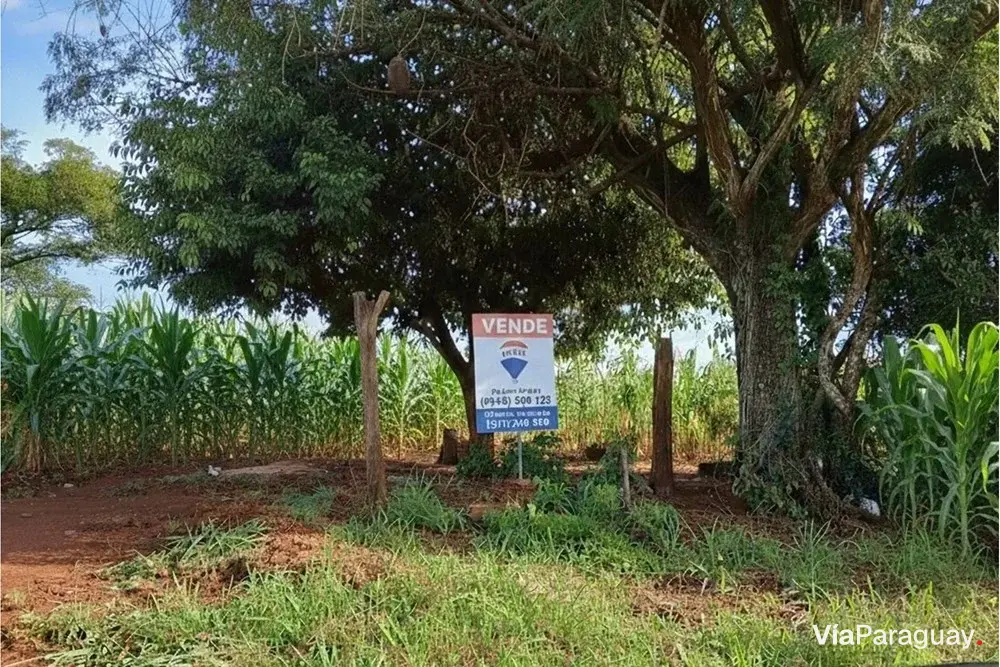 Terreno en venta en Trinidad, Itapúa: 3 hectáreas productivas