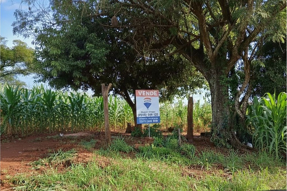 Terreno en venta en Trinidad, Itapúa: 3 hectáreas productivas