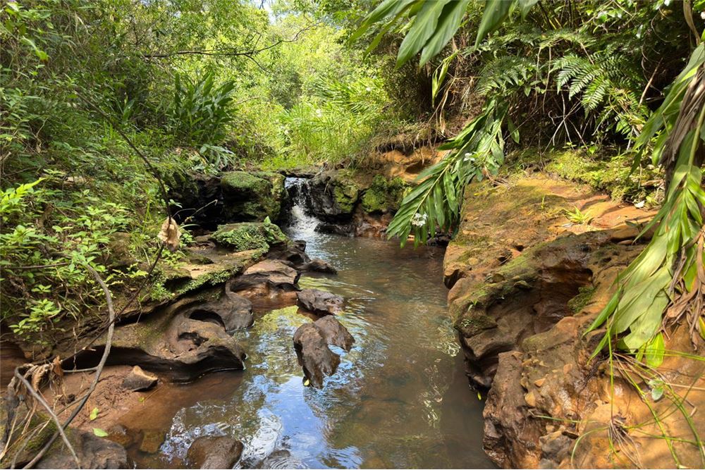 Terreno à venda em Trinidad, Itapúa