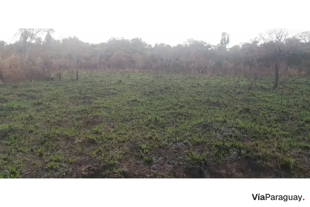 Terreno à venda na Urbanización El Cortijo, San Bernardino