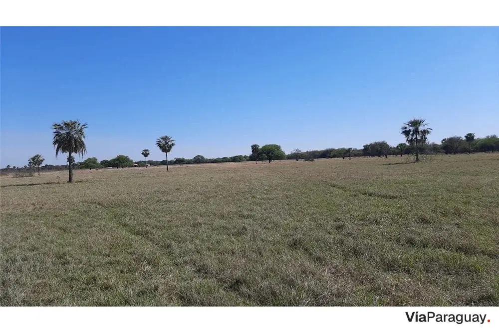 Terreno en venta en Urbanización Los Palmares I, José Falcón