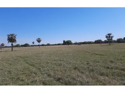 Terreno en venta en Urbanización Los Palmares I, José Falcón