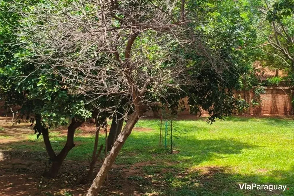 Terreno à venda em Valle Apu'a I, Lambaré