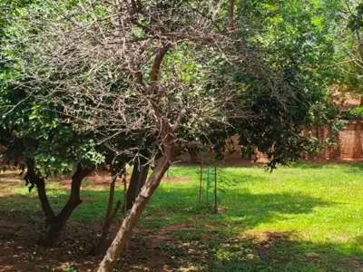 Terreno à venda em Valle Apu'a I, Lambaré