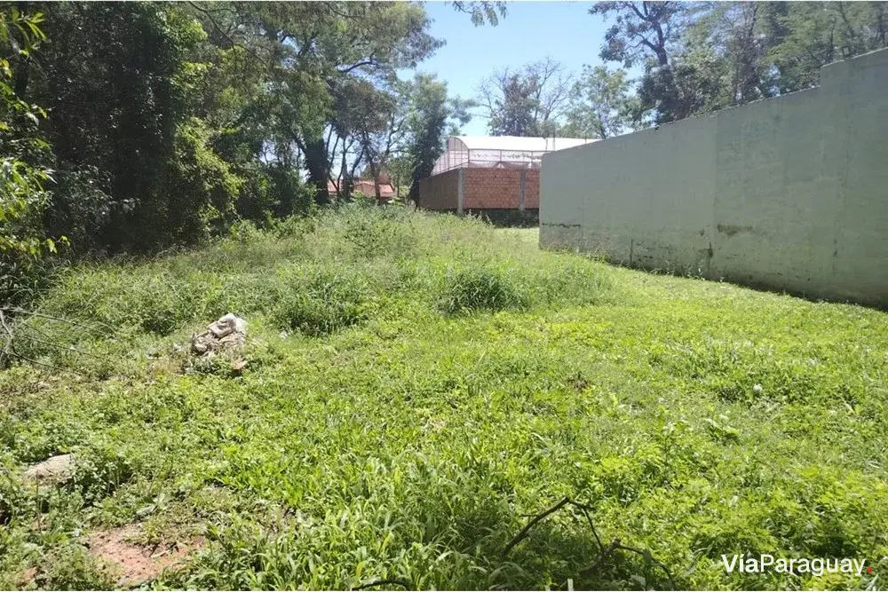 Terreno à venda em Villa Adela, Luque