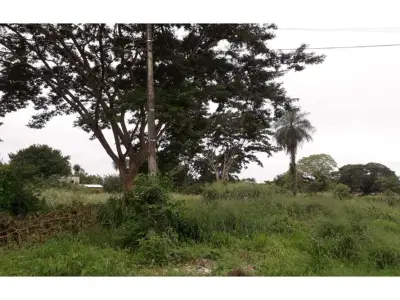 Terreno à venda em Villa del Agrónomo, San Lorenzo