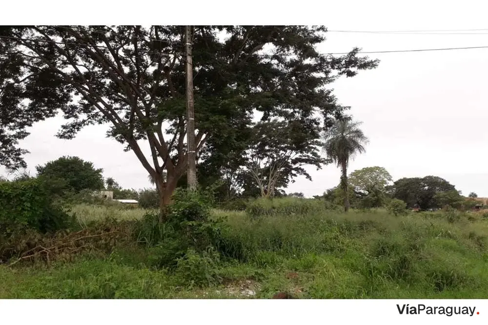 Terreno à venda em Villa del Agrónomo, San Lorenzo